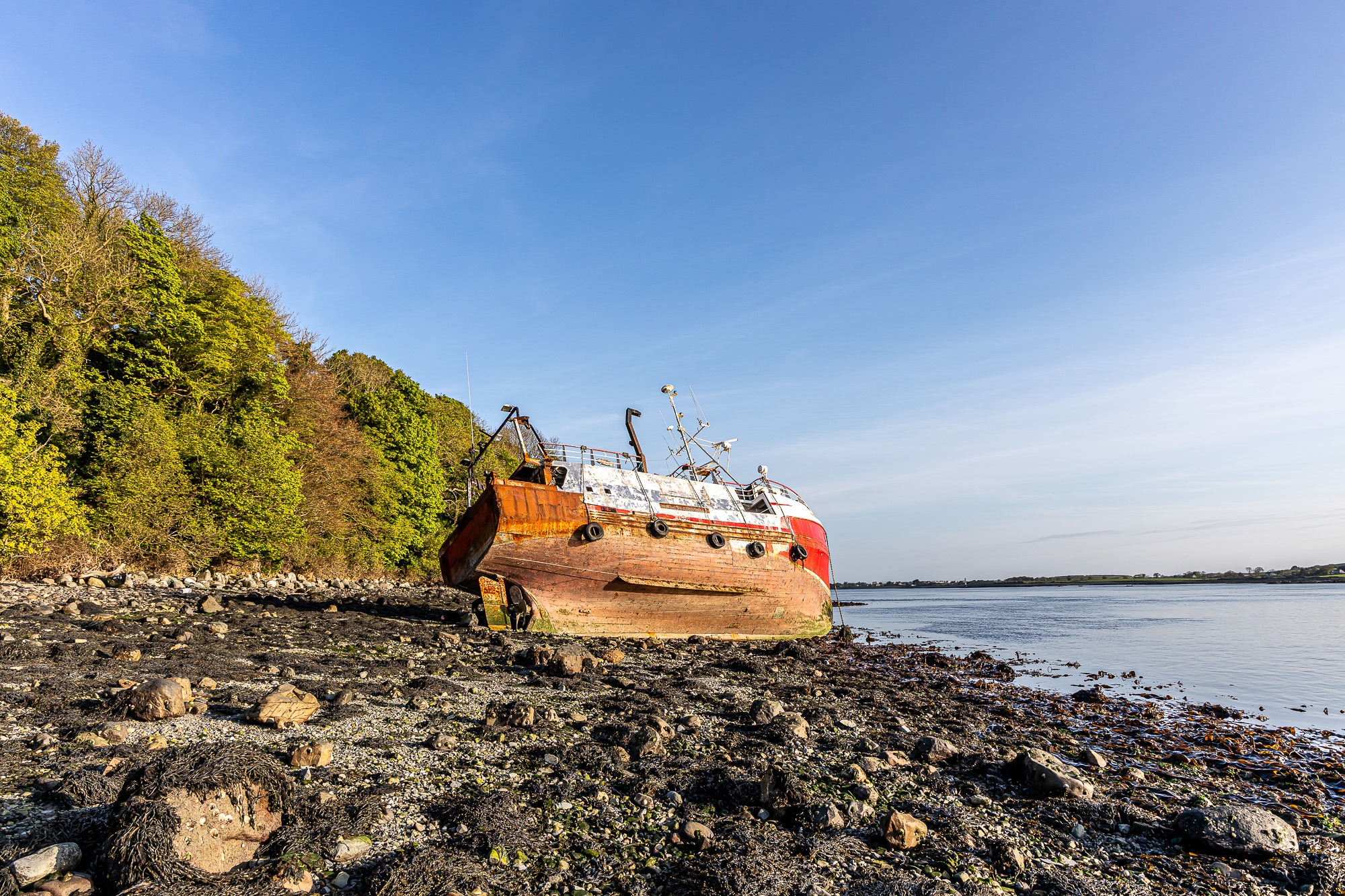 The Mellifont Boat washed ashore